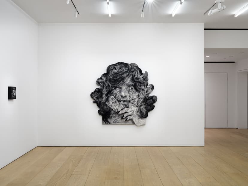 Installation view, Anna Park: House Rules, Lehmann Maupin, New York, 2026