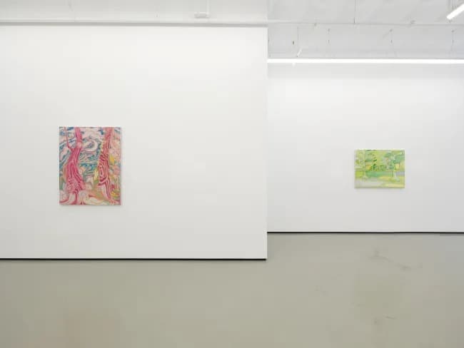 Installation view