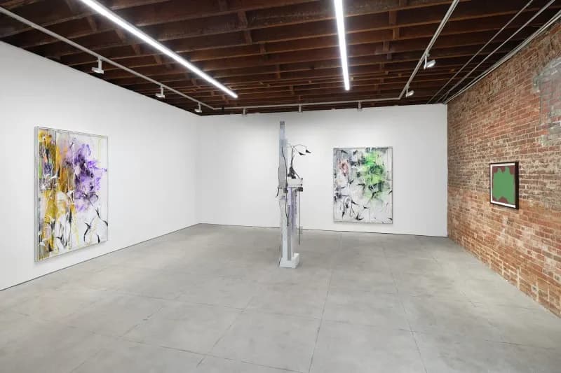 Sol Lewitt, David Douard