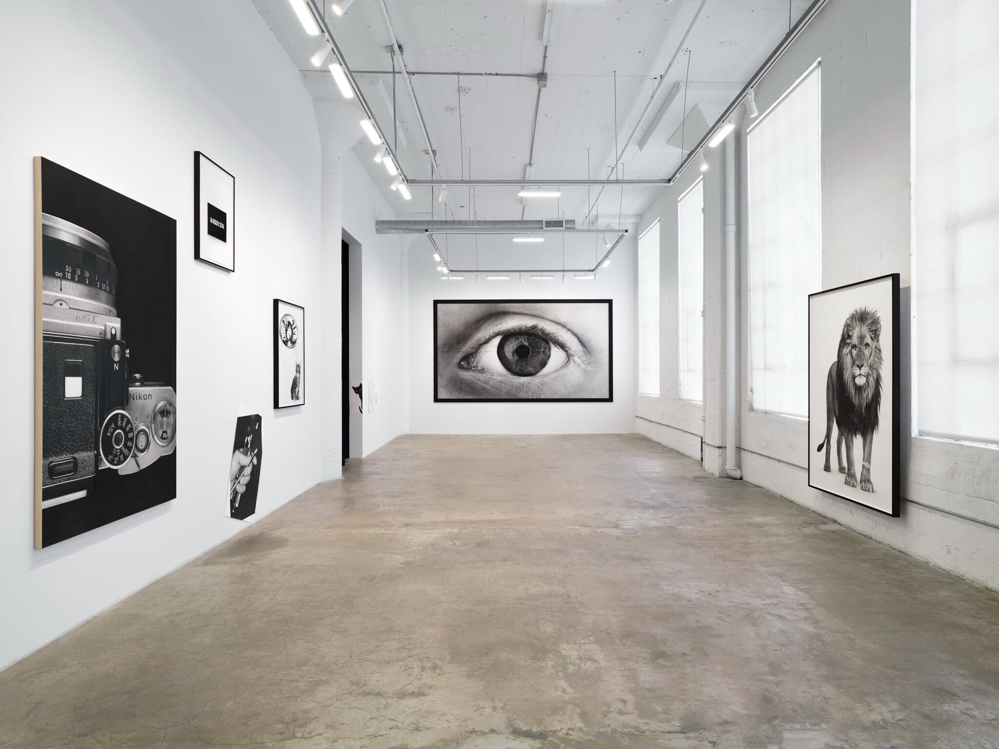 Installation view