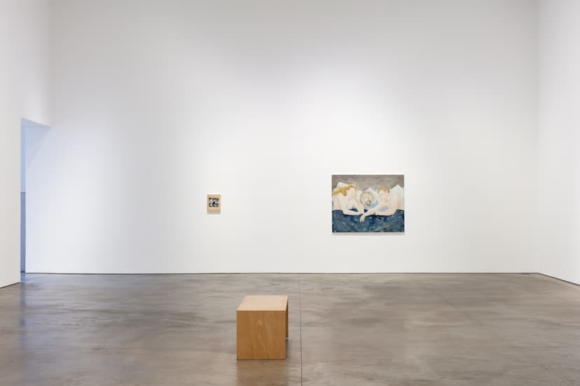 Installation view: Tanya Merrill, Land animal, house animal, 303 Gallery, New York, 2026. Photo: Morgan Waltz