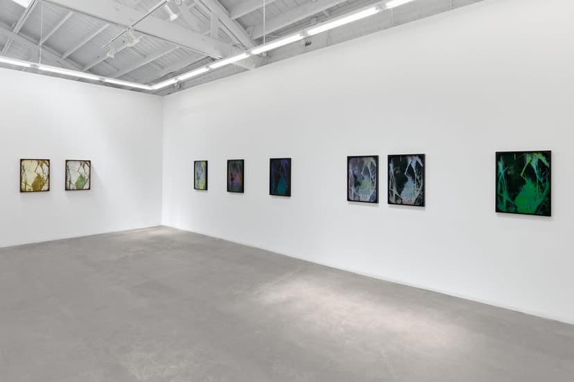 Sherin Guirguis, Into the Lake of Fire, installation view, Luis De Jesus Los Angeles, 2026