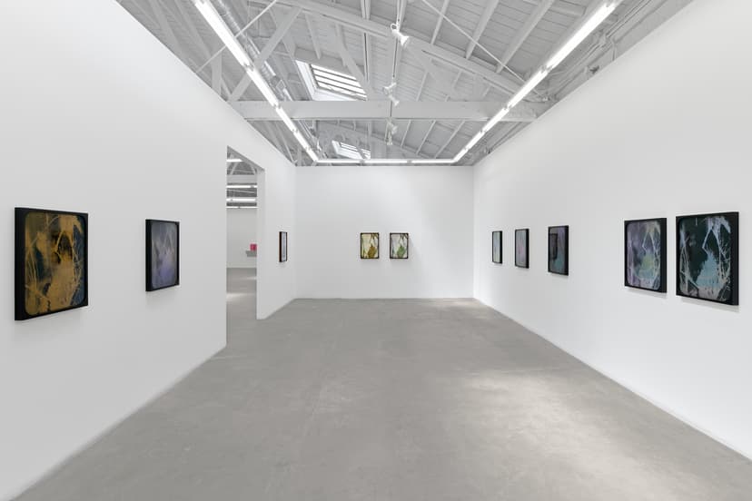 Sherin Guirguis, Into the Lake of Fire, installation view, Luis De Jesus Los Angeles, 2026