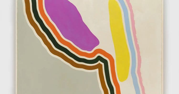 Herman Cherry: Rivers from 30,000 Feet
