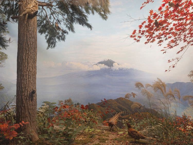 Hiroshi Sugimoto