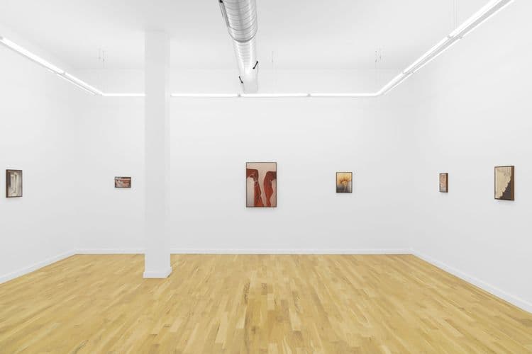 Alexandra Barth: The Awnings