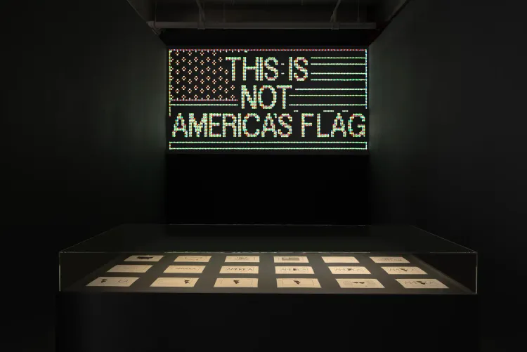 Alfredo Jaar: A Logo for America, 1987