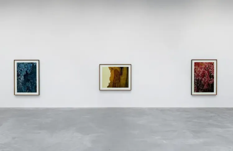 Thomas Demand