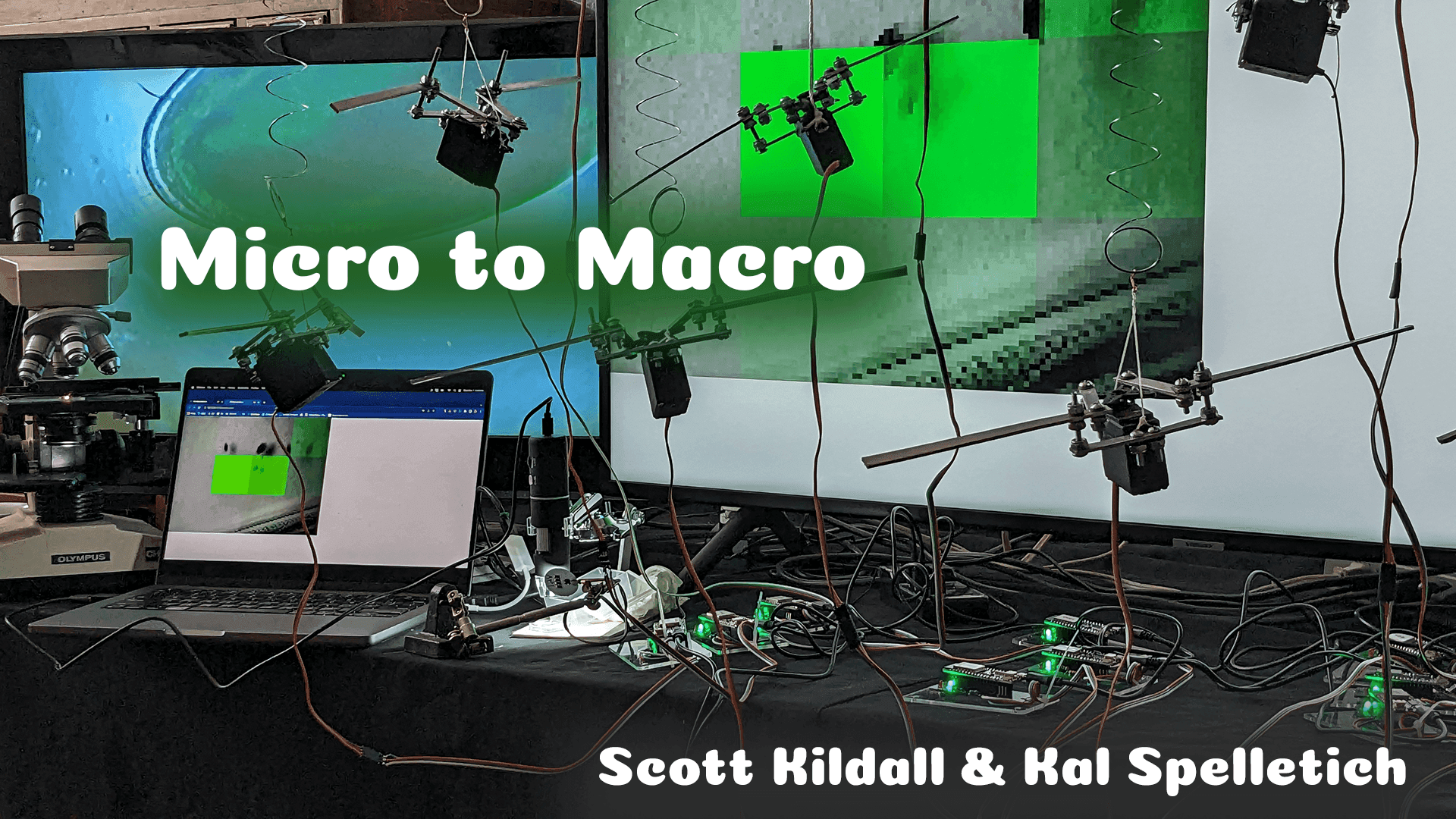Micro To Macro: Microorganisms, Sound and Robots
