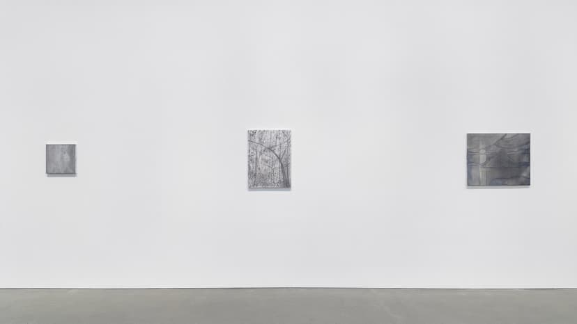 Installation view of Silke Otto-Knapp, Regen Projects, Los Angeles, September 16–October 24, 2026