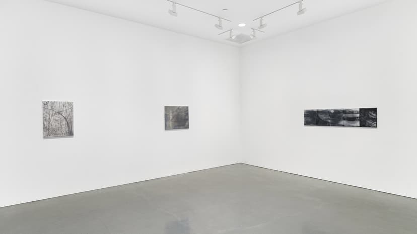 Installation view of Silke Otto-Knapp, Regen Projects, Los Angeles, September 16–October 24, 2026