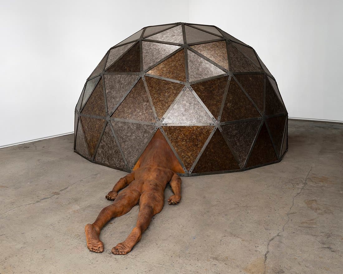 Installation view
