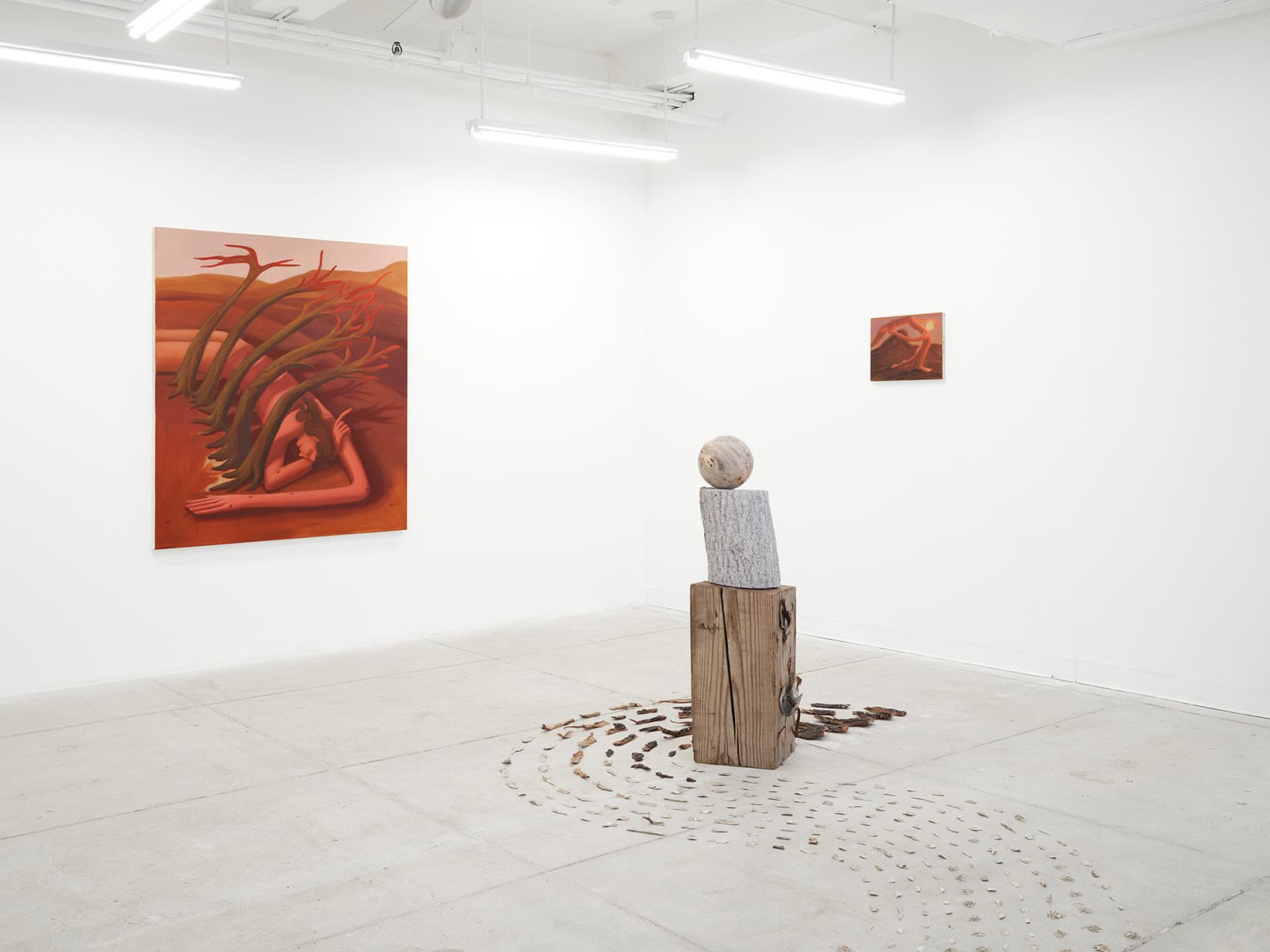 Installation view